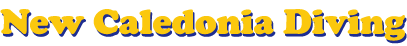 logo-02.gif (9057 octets)
